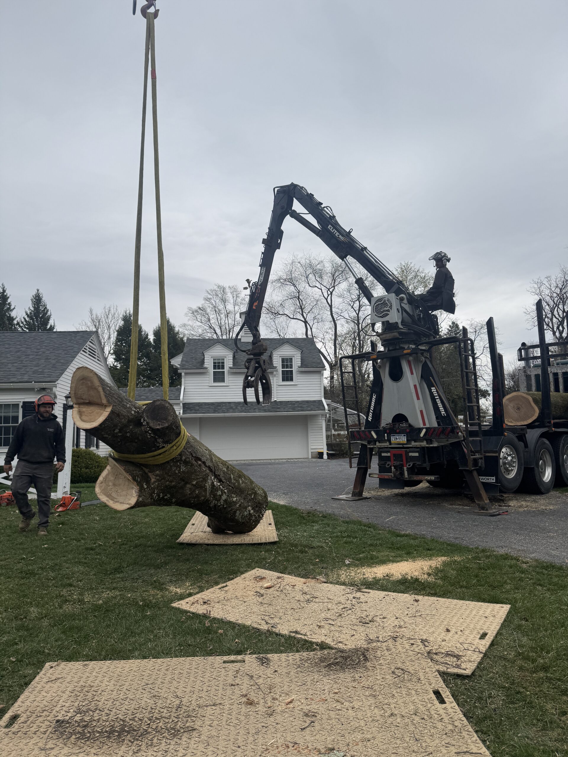 Crane lifting a large log next to a log truck during tree removal