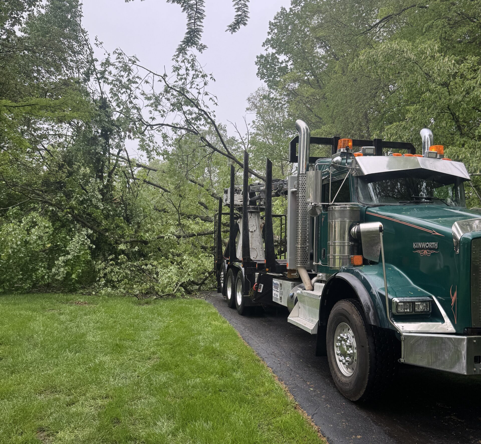 log truck with fallen tree